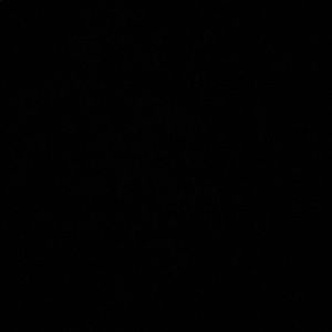 Meet your Posher, Jasir